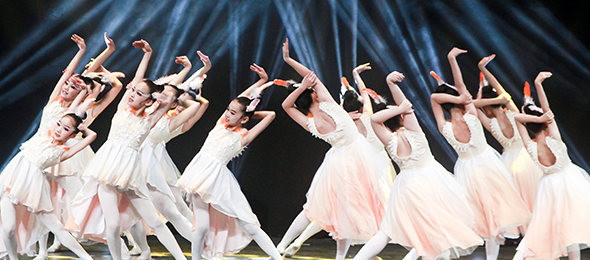 高级课程（12岁以上）